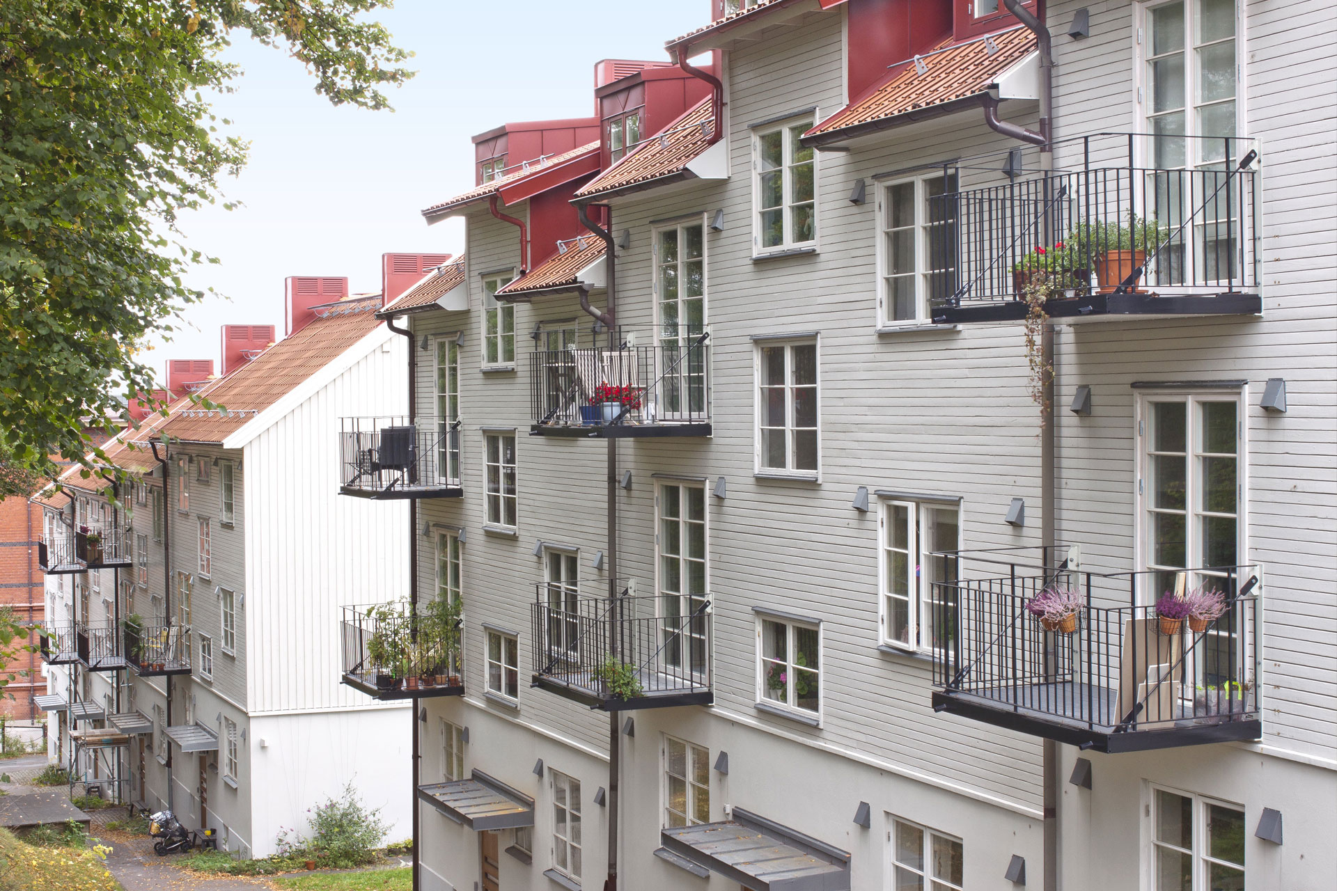Produkter-header